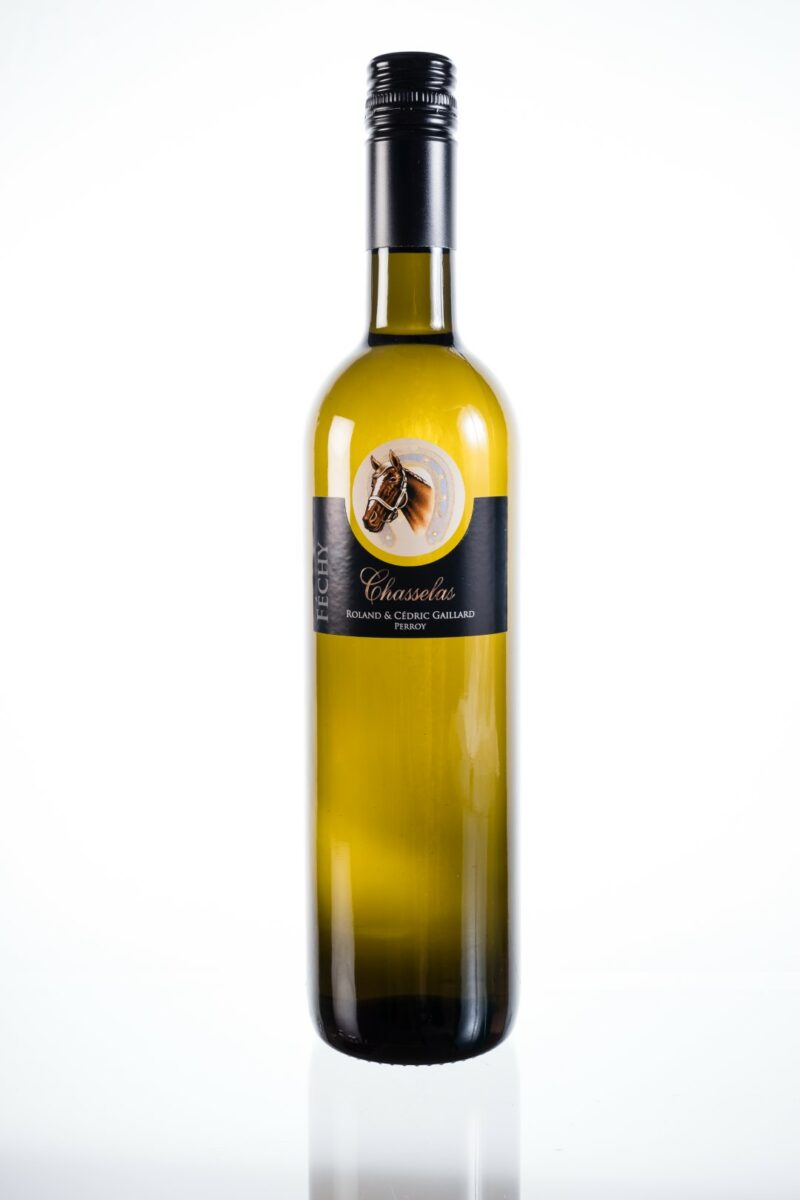 Chasselas Féchy