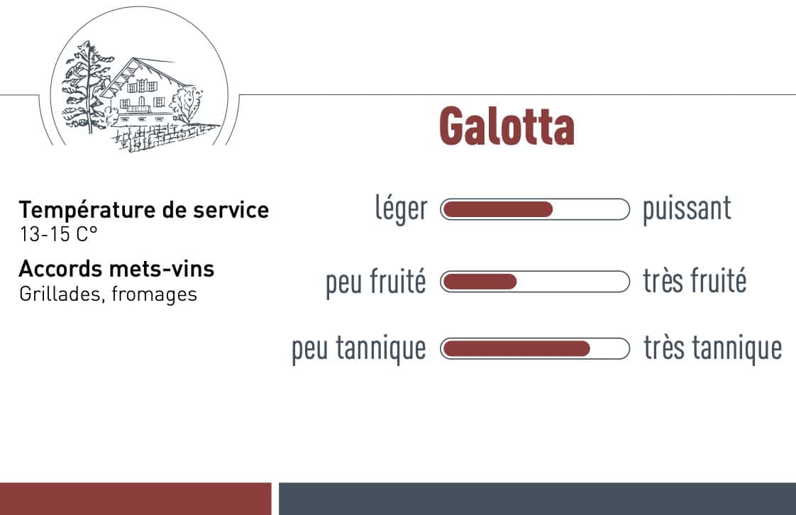 Caractéristiques du Galotta