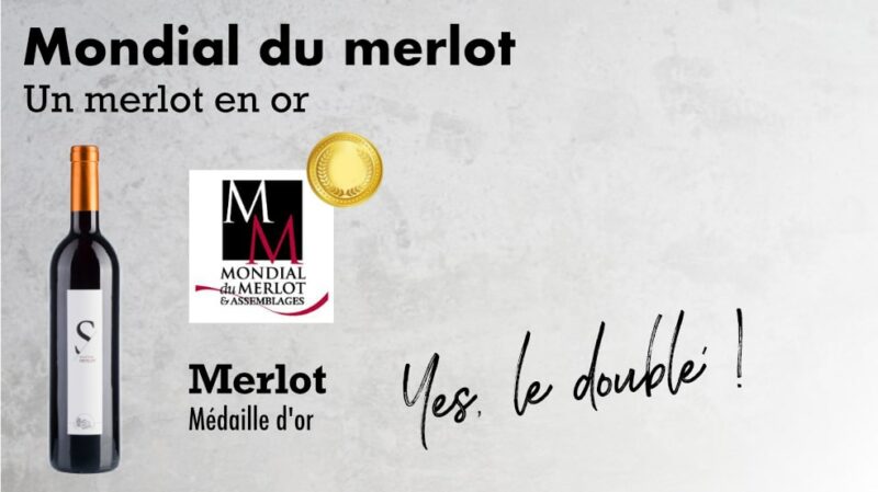 Merlot – Image 3