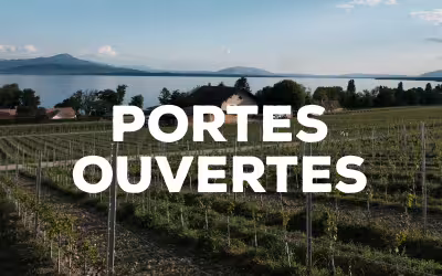 Portes ouvertes