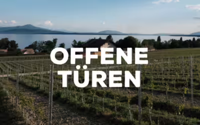 Offene Türen