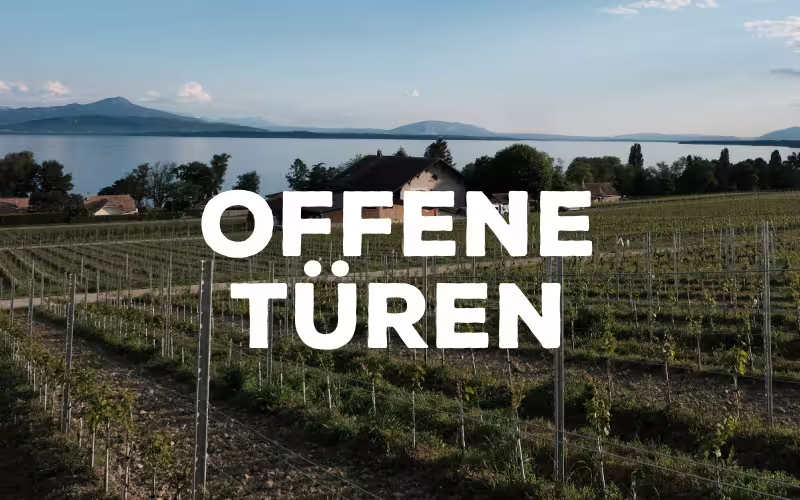 Offene Türen